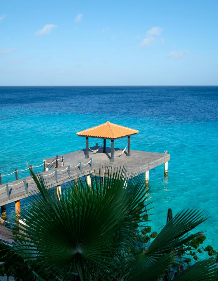 Red Lion Travel Agency