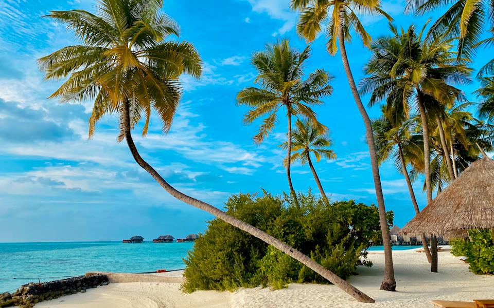 Red Lion Travel Agency