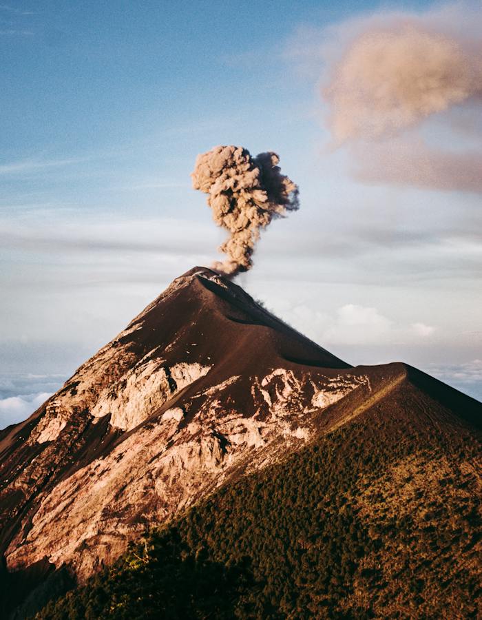 Red Lion Travel Agency